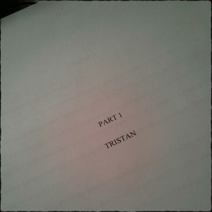 No Dragons Press: Part One: TRISTAN