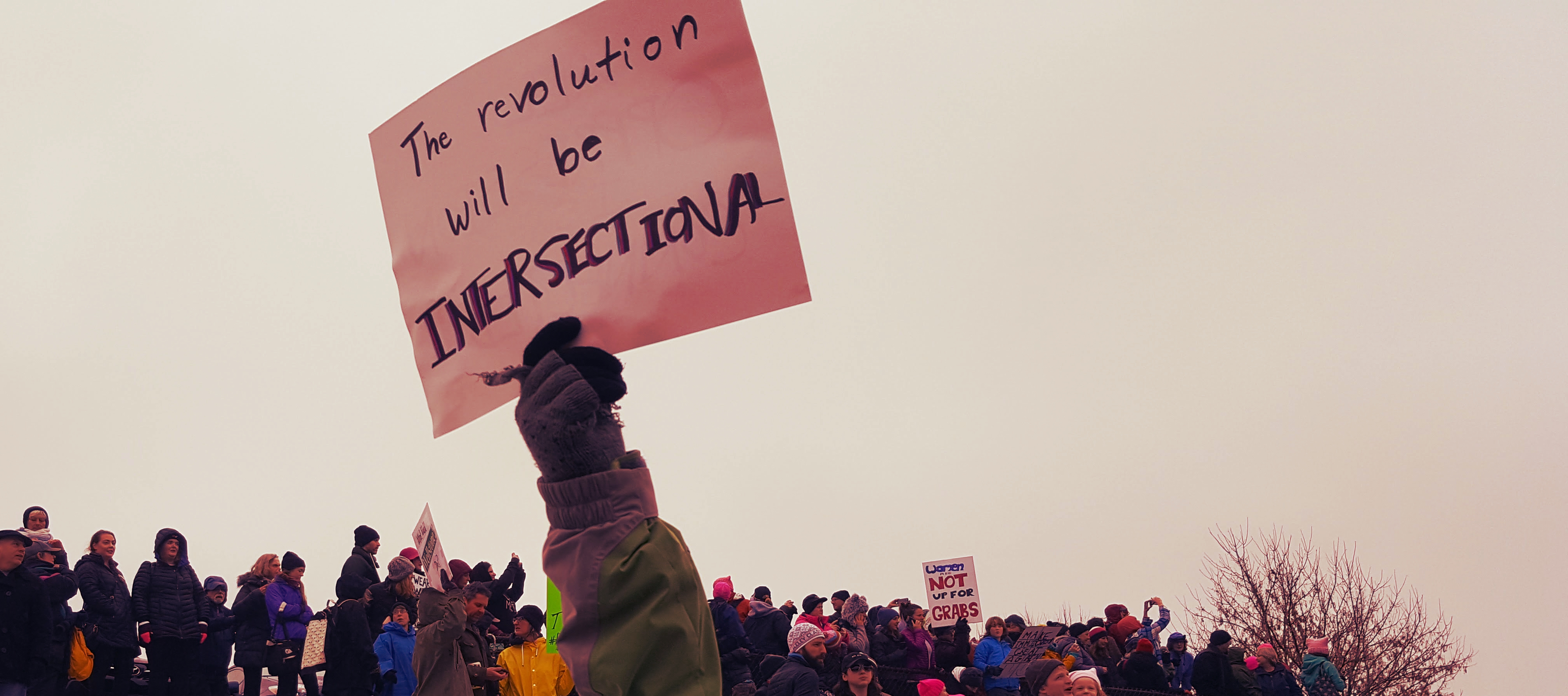 Women's March on Washington: MN in Saint Paul. The revolution will be intersectional